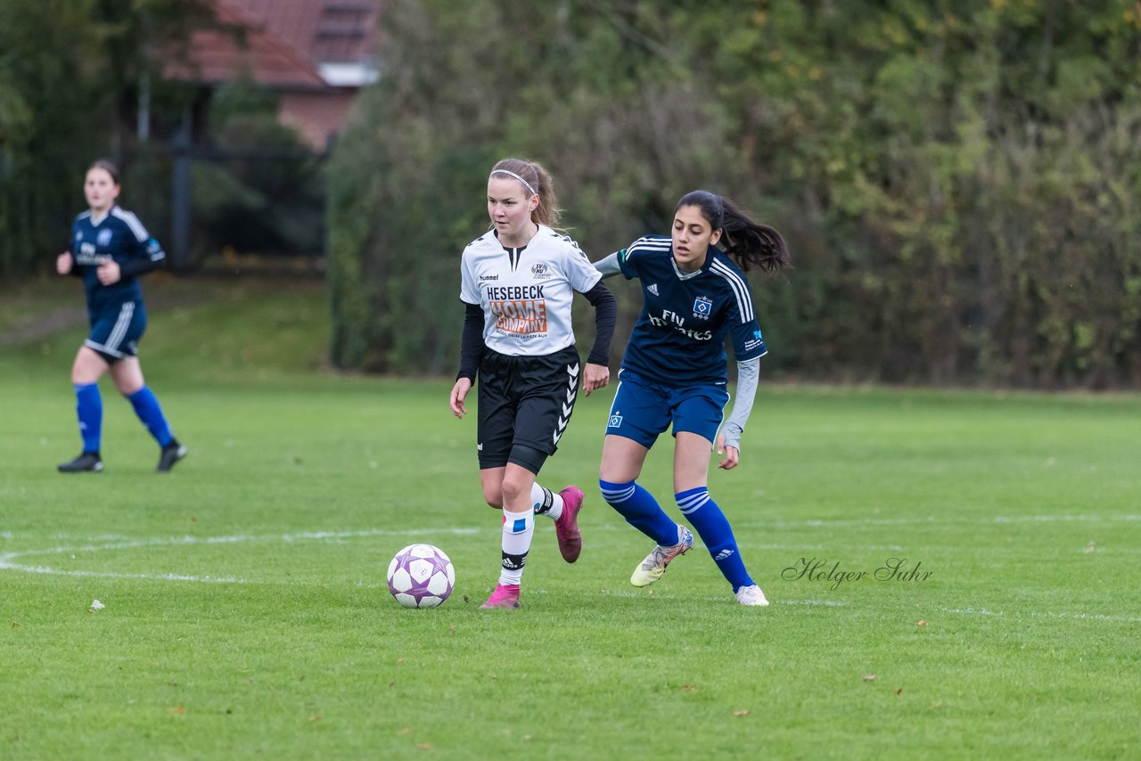 Bild 208 - B-Juniorinnen SV Henstedt Ulzburg - Hamburger SV : Ergebnis: 2:3